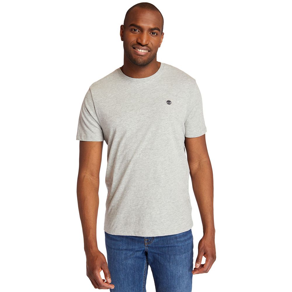 Camisetas Masculino - Timberland Embroidered Logo - OYTLG2501 - Cinzentas